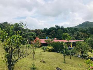 VENTA O ALQUILER DE CASA CAMPO EN LA PINTADA