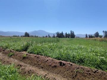 Venta Parcela María pinto SECTOR LA GLORIA