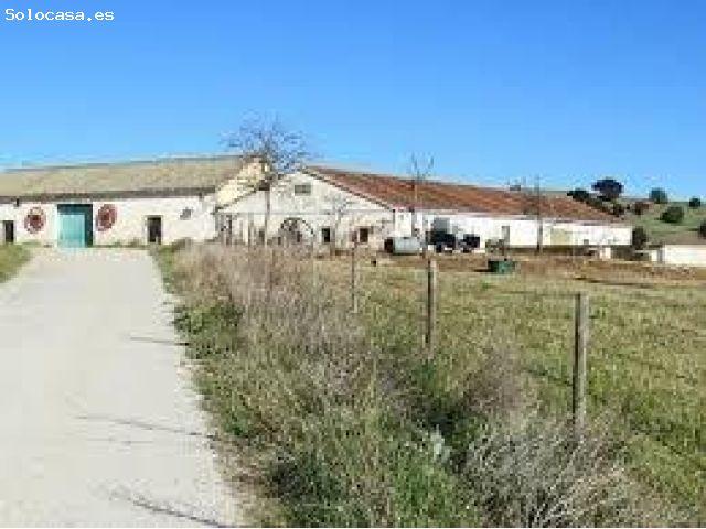 VENTA PARCELA AGRARIA EN FUENTEMILANOS,SEGOVIA