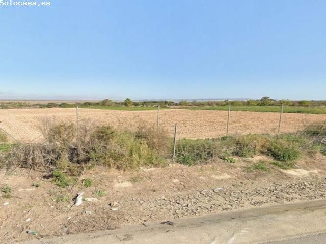VENTA PARCELA AGRICOLA