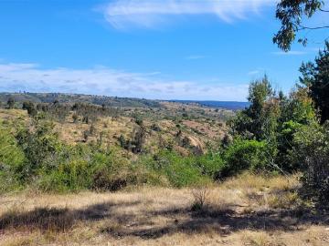 Venta Parcela Algarrobo Camino Las Dichas