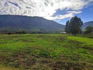 Venta Parcela Alhué Parcela de 1.64 hectareas comuna alhue