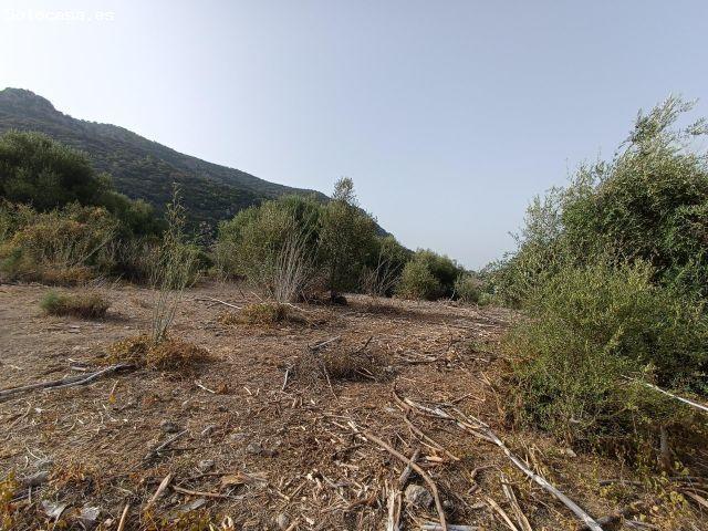 VENTA PARCELA ALREDEDORES DE EL BOSQUE
