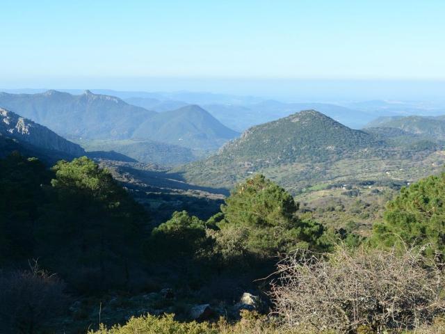 VENTA PARCELA ALREDEDORES DE EL BOSQUE