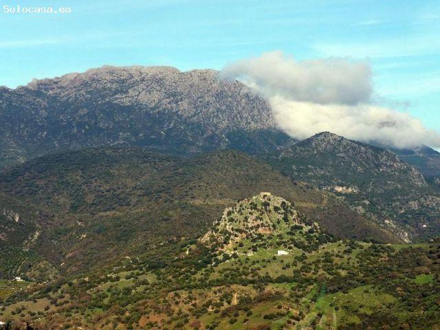 VENTA PARCELA ALREDEDORES DE EL BOSQUE