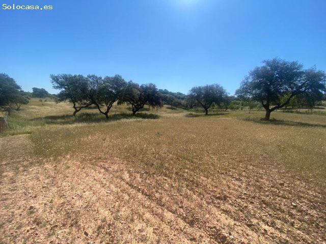 VENTA PARCELA CAMPOMANES