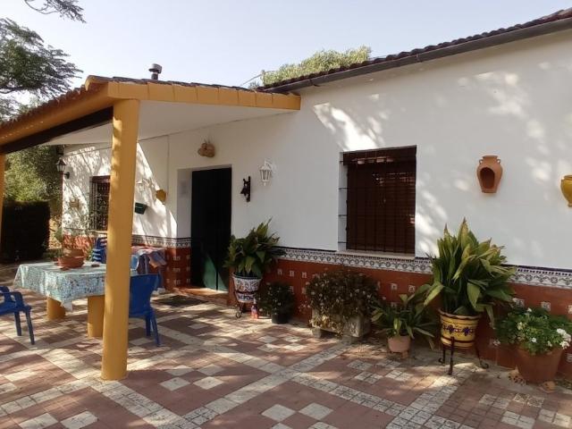 VENTA PARCELA CON CASA Y PISCINA. UBRIQUE