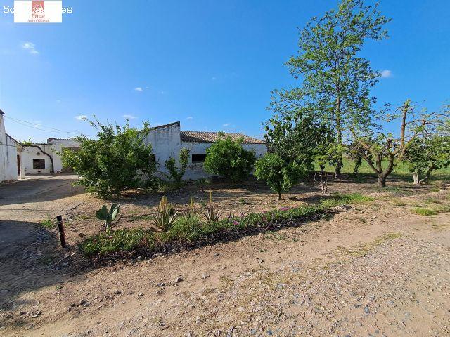 VENTA PARCELA DE COLONOS EN EL TERMINO DE VALDELACALZADA, CON LUZ Y AGUA, 3,7 HECTAREAS, CASA, CUADR
