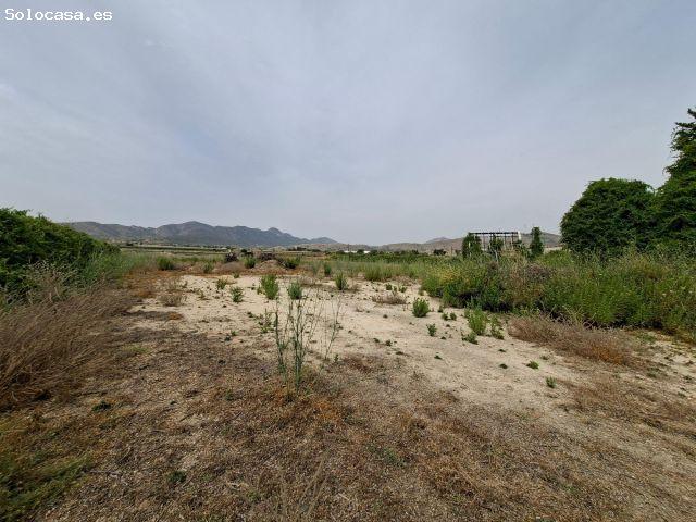 ¡ VENTA PARCELA EDIFICABLE 11371 m2 EN LA ROMANA !