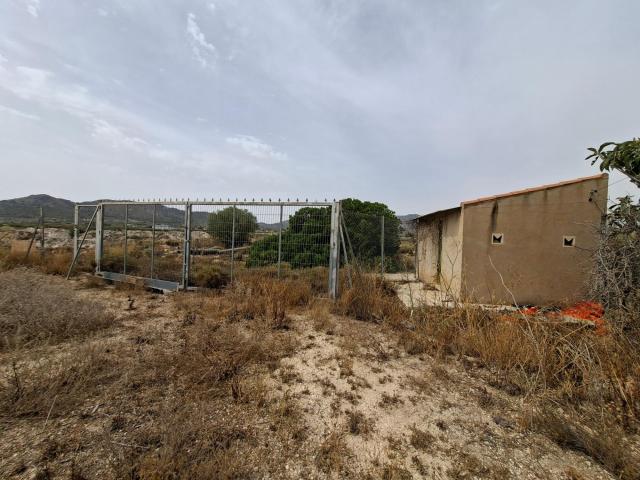 ¡ VENTA PARCELA EDIFICABLE 11371 m2 EN LA ROMANA !