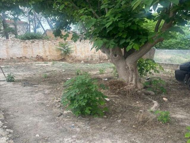 VENTA PARCELA EN LOS PRADOS Caravaca de la Cruz