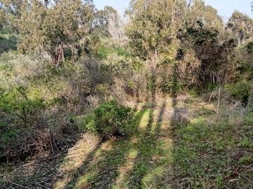 VENTA PARCELA HUAQUEN EX FUNDO QUINQUELLES V REGION