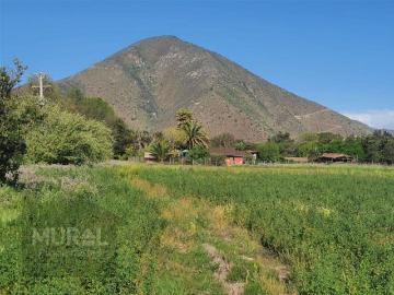 Venta Parcela Isla de maipo Camino lonquen Sur con Carampangue, colegio Trebulco, Isla de Maipo
