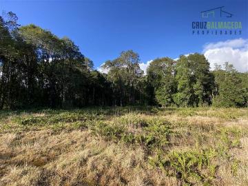 Venta Parcela Puerto varas Loteo Las Tranqueras