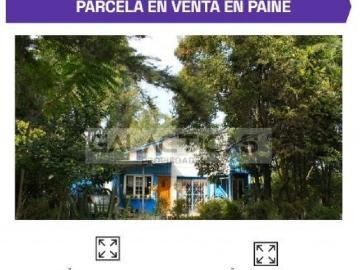 Venta Parcela Paine El bosque 746