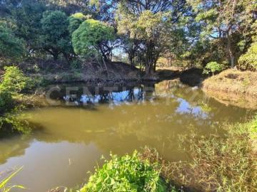 Venta Parcela Palmillas Colima