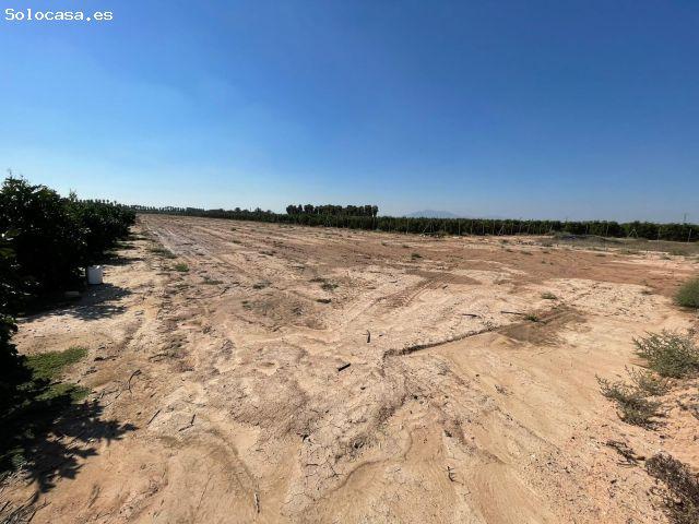 ?VENTA PARCELA RÚSTICA EN CACHAPET – CREVILLENTE, NATURALEZA, PRIVACIDAD Y OPORTUNIDAD ?