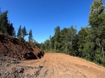Venta Parcela Santa juana tricauco