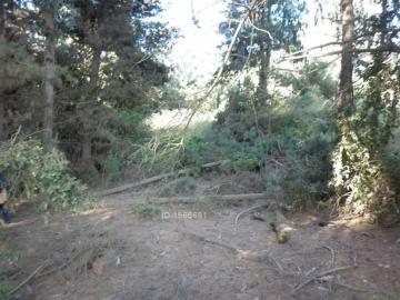 Venta Parcela UF 1,80/m2