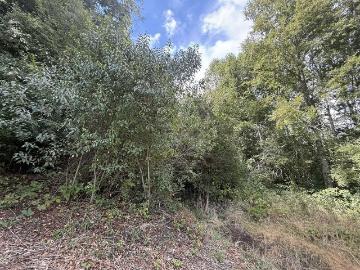Venta Parcela Villarrica Entrada cruz blanca en sector gualapulli