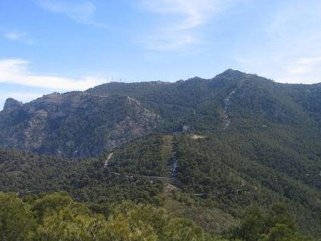 Venta PARCELA 48.000 mts Campo Ricote ZONA LAS VENTANAS