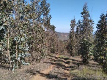 VENTA PARCELA 40000MTS Algarrobo