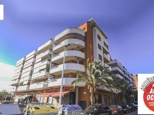 Venta Piso en Elche Alicante