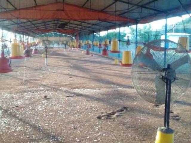 VENTA PRODUCTIVA GRANJA AVICOLA CON CASA EN ORTIZ GUARICO