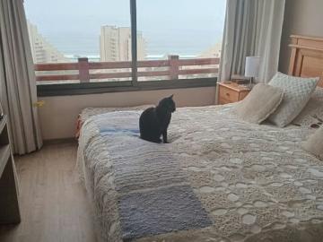 Venta Precioso departamento en Altos de San Alfons | 4 Dormitorios por 6500.00 en Algarrobo
