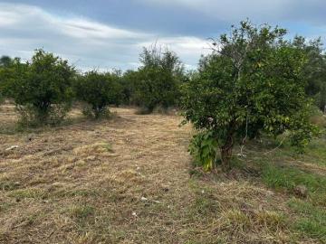 Venta Quinta en Montemorelos con 2 recámaras en venta, 2040 m2 superficie de terreno