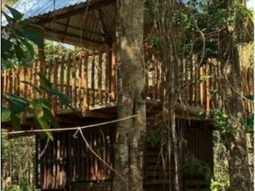 Venta Rancho 5h con cenote a pie de carretera. Baja de precio