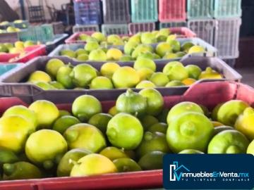 Venta rancho en zacatecas