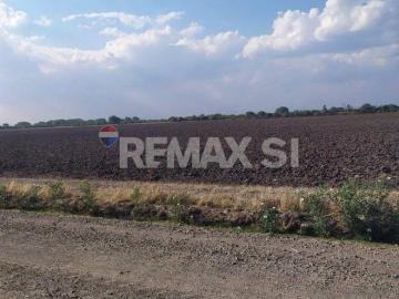 VENTA RANCHO SAN LUIS DE LA PAZ GTO