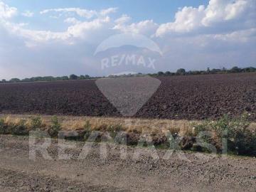 VENTA RANCHO SAN LUIS DE LA PAZ GTO