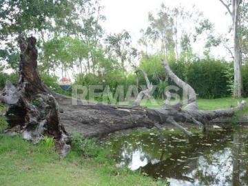 VENTA RANCHO POLOTITLAN EDO DE MEX