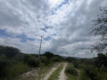 Venta rancho palacios la vivienda