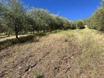 Venta Sitio Talca Ruta k 530 5340.00 m2