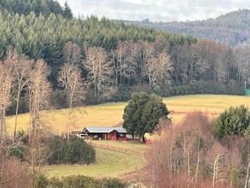 Venta Sitio Villarrica Villa alegre / Pedregoso / Villarrica