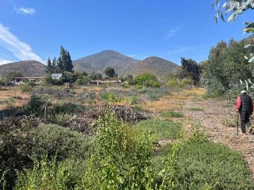 Venta Sitio La serena Camino a pisco de elqui
