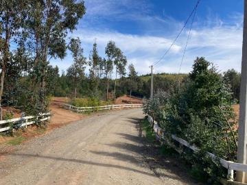 Venta Sitio Hualqui lomas de millahue