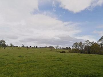Venta Sitio Osorno Campo Río Negro, Osorno