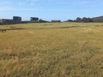 Venta Sitio Pichilemu Pichilemu Punta de Lobos 948.00 m2