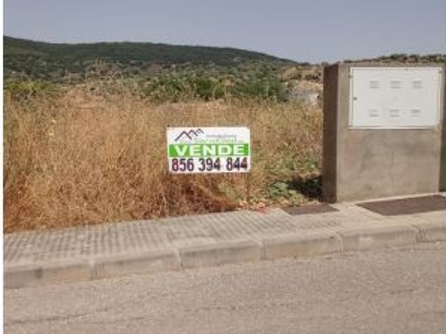 VENTA SOLAR. EL BOSQUE