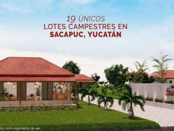 VentaTerreno Campestre, Sacapuc, Motul Yucatán