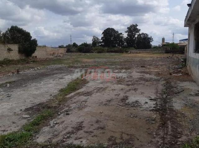 Vente Terrain nu à Bouskoura