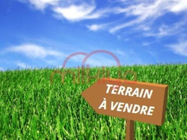 Vente Terrain nu à El Jadida