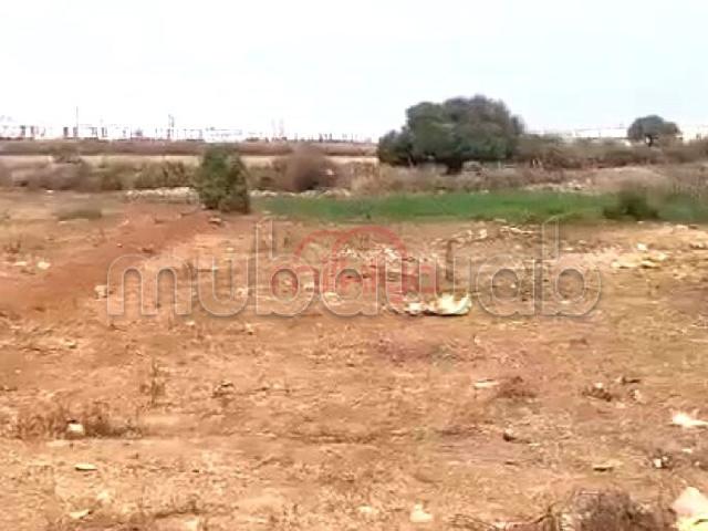 Vente Terrain nu à Errahma