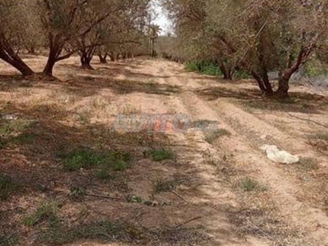 Vente Terrain nu à Marrakech