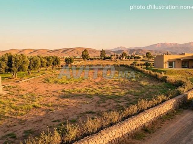Vente Terrain nu à Marrakech