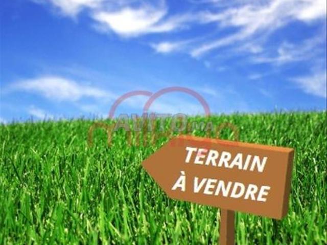 Vente Terrain nu de 3300 m2 à Safi
